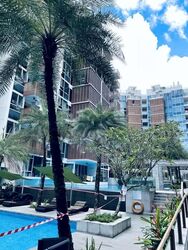 Floridian (D21), Condominium #639488111